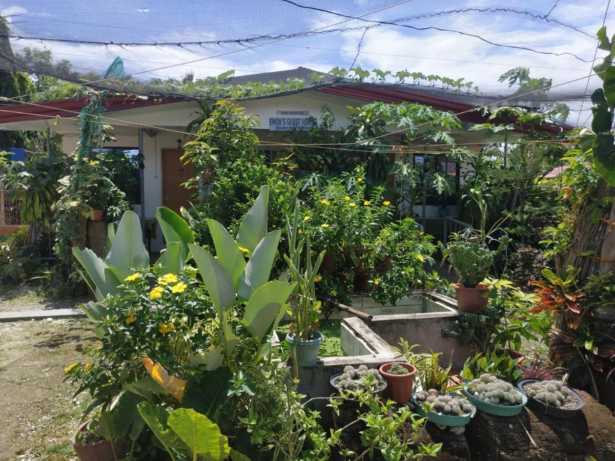 Emoks Guest House Moalboal Ngoại thất bức ảnh